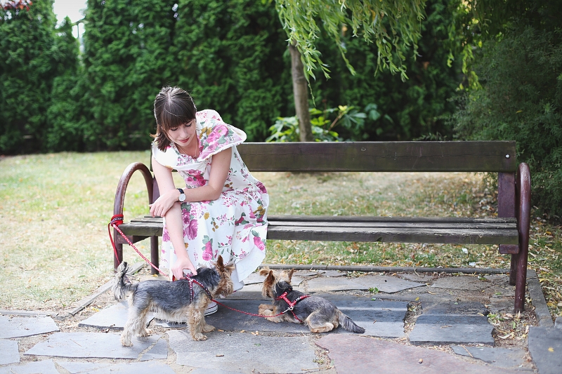 Dwa yorki - mama i córka