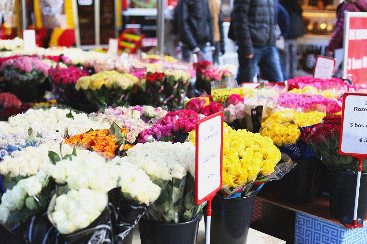 Kwiaty sprzedawane w Groningen Kwiaty sprzedawane w Groningen