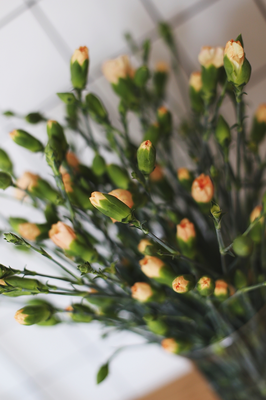 Świeże kwiaty Świeże kwiaty