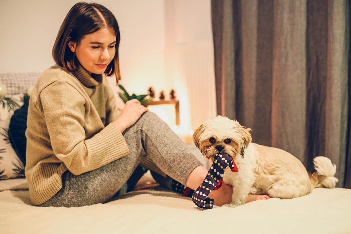 świąteczny prezent Akademia Przyszłości Dzień Świątecznych Skarpet