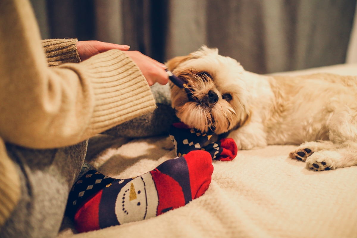świąteczny prezent Akademia Przyszłości Dzień Świątecznych Skarpet