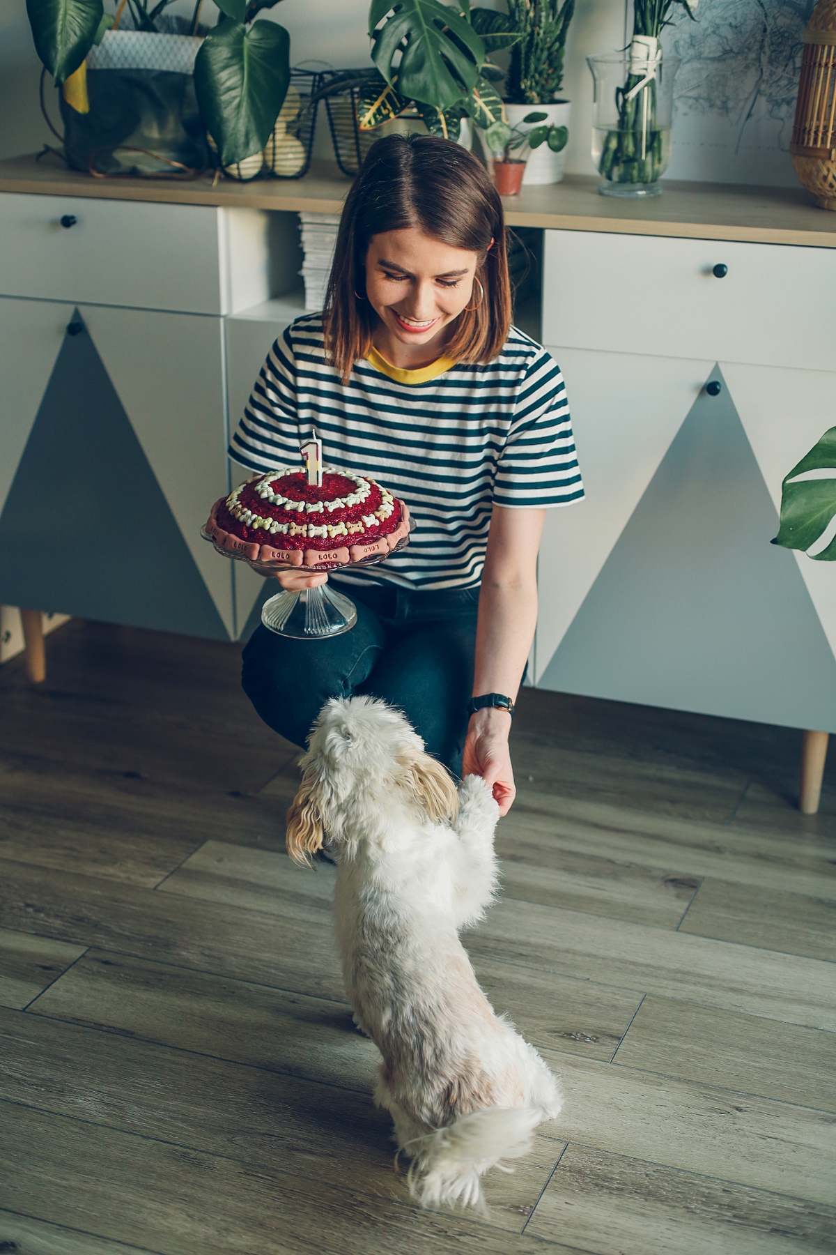 psi tort dla psa przepis