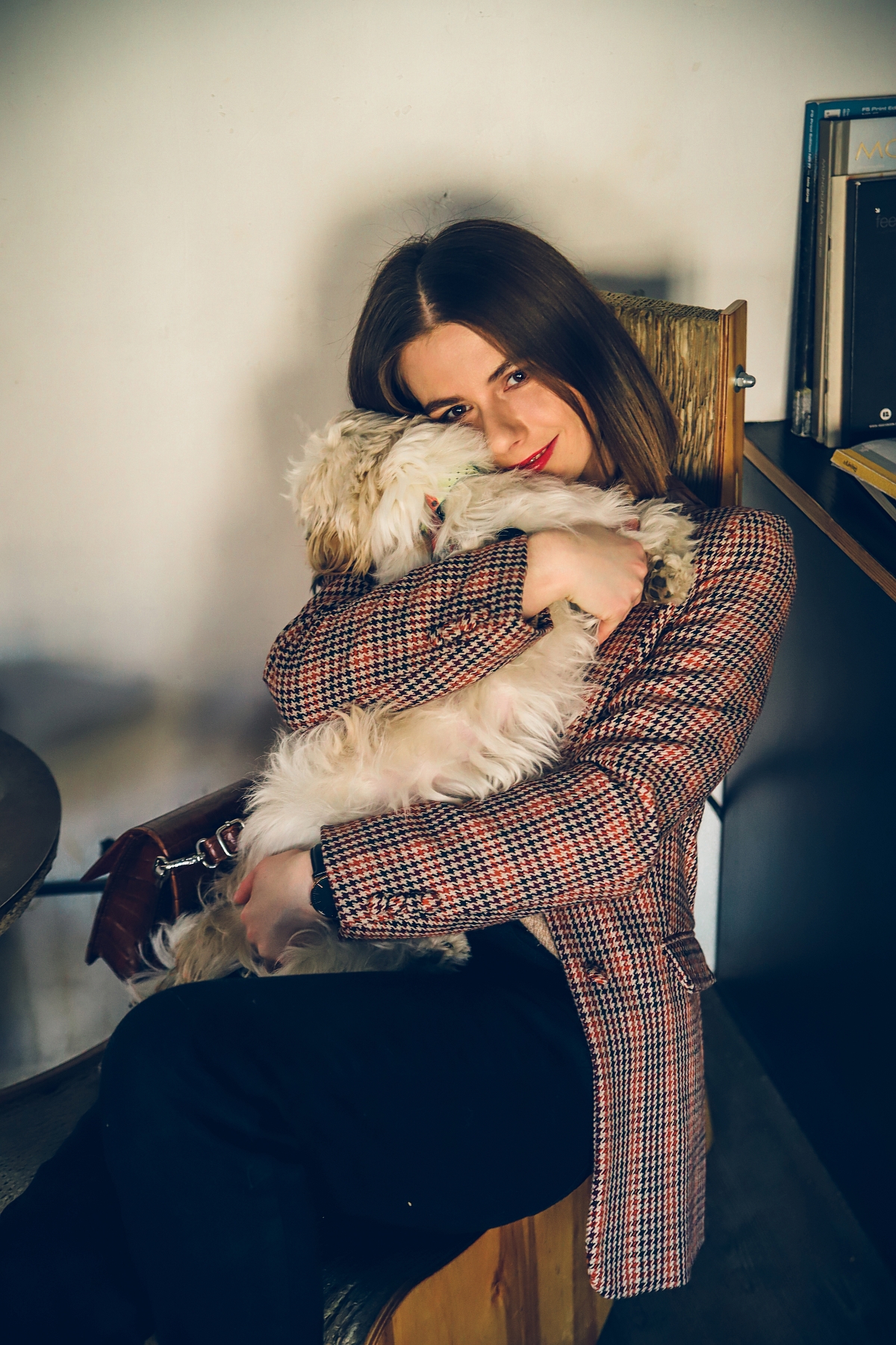 stylizacja na co dzien pies shihtzu