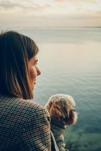 klif orłowski - jesienny look ootd - szczeniak shih tzu